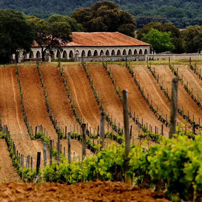 La Posada De Pradorey Ventosilla Exteriör bild